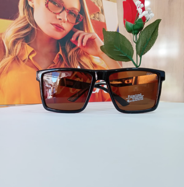 Lunettes de Soleil 